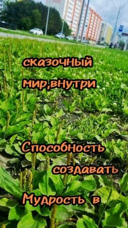30 июня.
АСТРОЛОГИЯ ДНЯ.

Интерес к романтическим отношениям ,склонность к флирту.
(Способность  соз