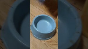 смотрим в тайне чем кто занимается