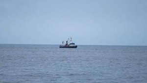 Браконьеры на Камчатке меняют течения рек ради ловли лосося