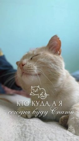 Доброе утро