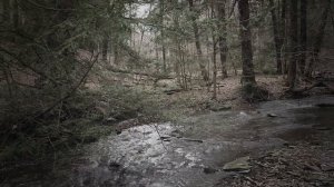 Vintergrav - Cathedral of the Gods (Music video)