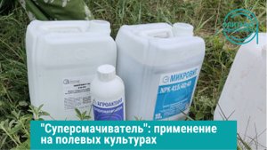 Суперсмачиватель: практическое применение на полевых культурах в Ростовской области