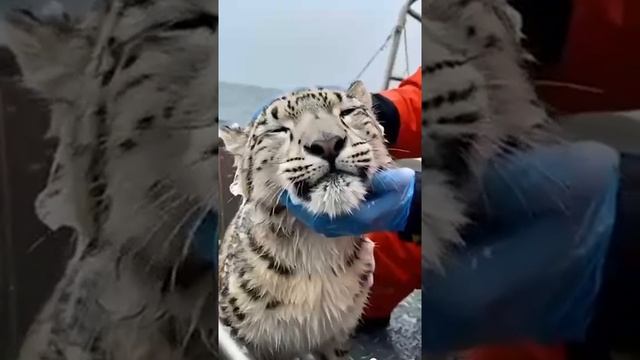 Символ бесконечности