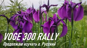 VOGE 300 RALLY / Продолжаю изучать о. Русский / Нашли еще одну неизведанную дорогу / Ирисы и розы