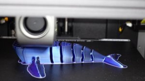 Мы напечатали на 3D принтере кита