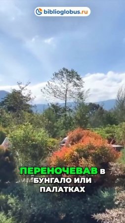 Национальный парк Као Яй — джунгли, водопады и треккинг в Таиланде 🌳💦🚶♂️ #shorts #Таиланд