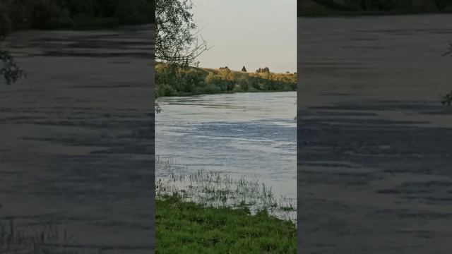 1000573223.mp4