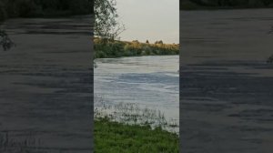 1000573223.mp4
