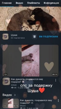 Я сейчас все подписываются на Шушу