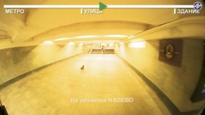 Dobrininskaya-WAY-02-4k