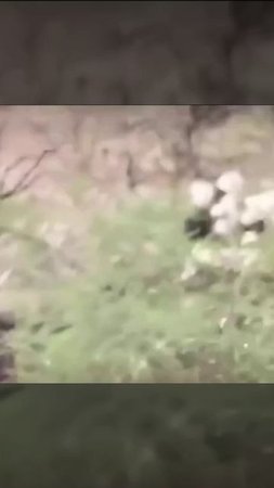 все прикольное начинается именно так😬