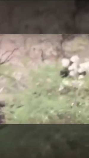 все прикольное начинается именно так😬