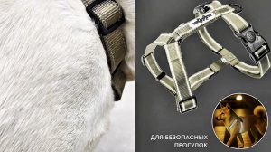 Топ шлеек для больших собак 🔝