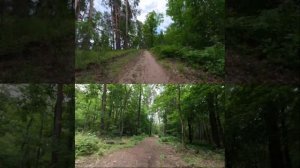 Сравним режимы Timelapse для Ace Pro 2 и WarpTime для GoPro11