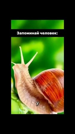 Секс