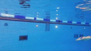 How to swim dolphin kick - swimming tutorial for beginners