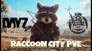 выживание на сервере PVE  RaccoonCity в DayZ 👋🔥