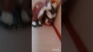 24 часа в саду (2 часть)