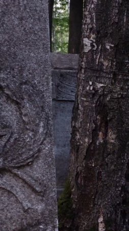 Егошкинское кладбище💀
(Пермь)