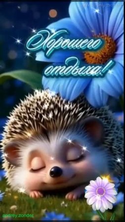 Доброй ночи!) Чудесных снов)#добройночи