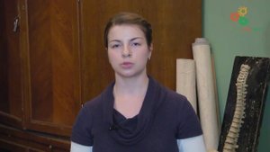 Анатомия человека. Строение суставов человека (И. Синёва)