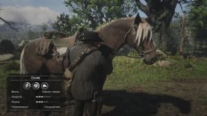 RDR2 Конь Джона Марстона