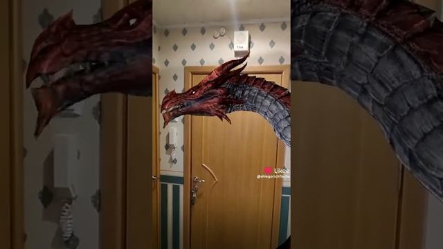 танцующий беззубик