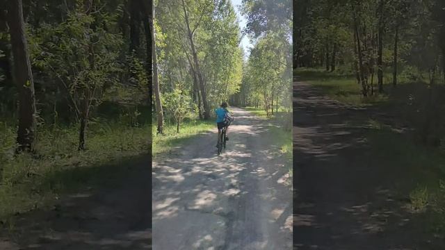 ПУТЬ НА РЕЧКУ #2 КЛИП. #тимартдан #барнаул #папаисын