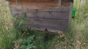 Холод в главный взяток