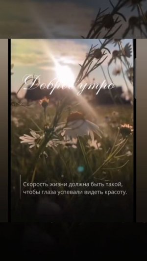 Доброе утро #доброеутро #благодарность