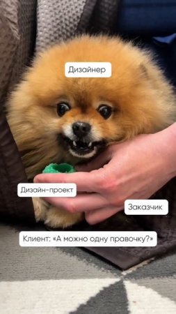 Укусит?