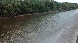 1000574351.mp4