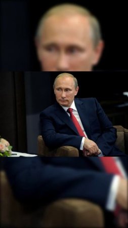 #семья #арктика #сво2025 #россия2025 #россиявперёд #подвиг #героисво #туризм #путин #наука #дети
