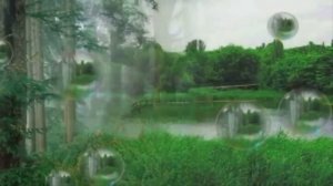 НИКТО ТЕБЯ НЕ ЛЮБИТ ТАК, КАК Я-КАВЕР -Г.Погорельская =