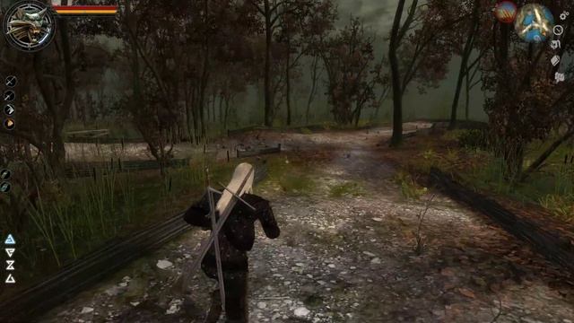 The Witcher Отдать 3 Броши Леувардену #26