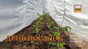 Посадочный марафон выходного дня