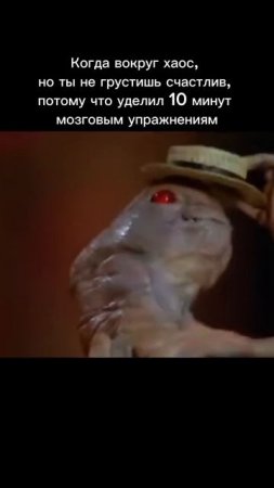 Когда вокруг хаос, но ты не грустишь счастлив, потому что уделил 10 минут мозговым упражнениям