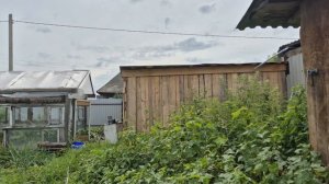 Целый день в огороде/ клубничный рай в морозилке
