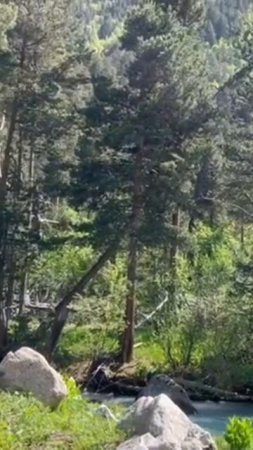 Красота