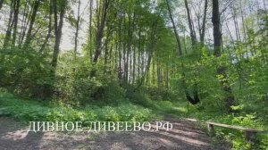 Звуки на источнике в честь иконы Божией Матери Державная в саровском лесу близ Осиновки
25.05.2025