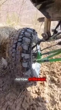 TG: nexpertGM БЕЗУМСТВА ХРАБРЫХ! #shorts #оживление #auto #юмор