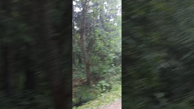 1000198058.mp4