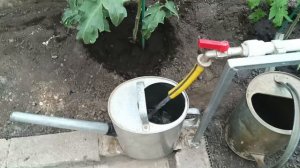 полив огорода дождевой водой.  сделано своими руками