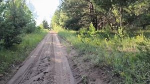 Третья пробежка после операции
