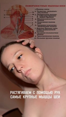Комплекс для шеи