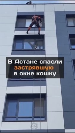 Для спасателей важна каждая жизнь