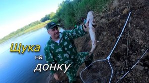 Первая рыбалка на донку в этом году. Щука ловилась на жмыховки лучше карася