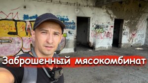 Заброшенный мясокомбинат "Сибирский деликатес": Пустота и тишина