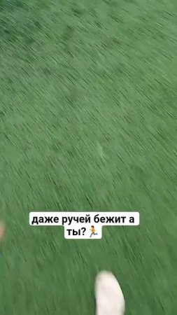 даже ручей бежит