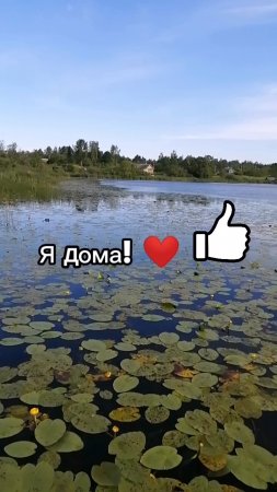 Я ДОМА!